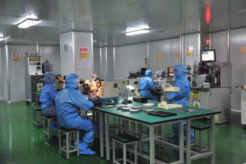 科技赋能，精准服务——延平区以技术创新驱动企业高质量发展