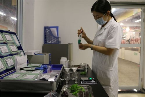 精诚致远，保障安全 博罗农残检测报告的技术服务解读